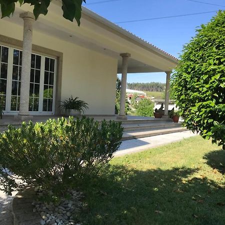 Bed and Breakfast Camelias Guimarães Esterno foto